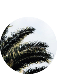 circle-img-n